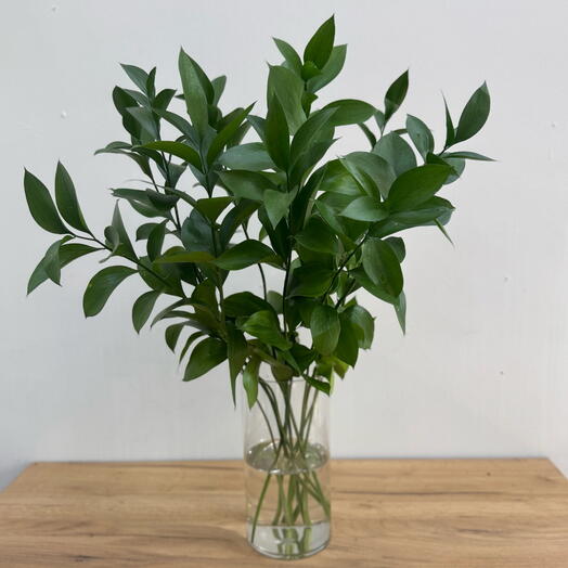 Рускус Эммер и ваза