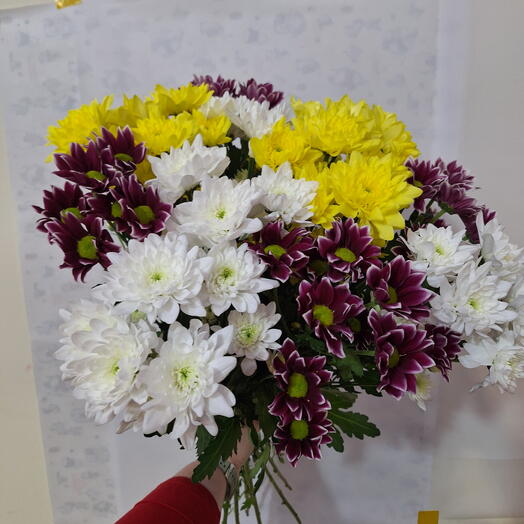 Букет из 15 кустовых хризантем