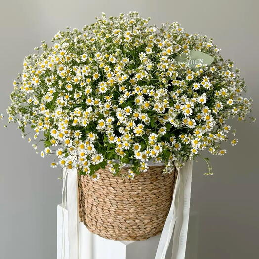Корзина из ромашек