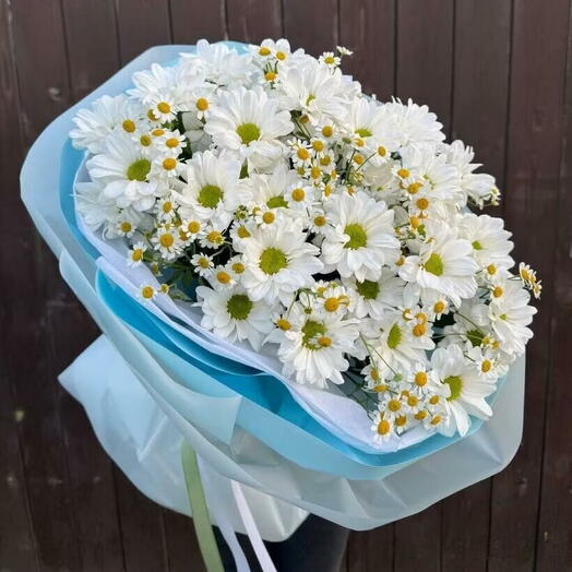Ромашковое поле 🌸