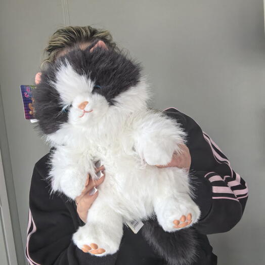 Котик ароматный ( музыкальный)