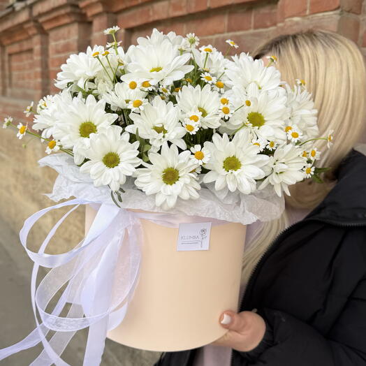 Композиция с ромашками