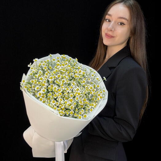Букет ромашек (матрикария) (мб 347)