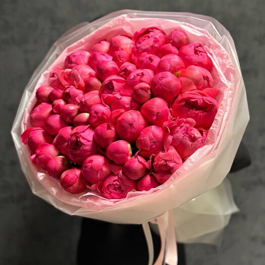 Пионы коралловые Отборные
