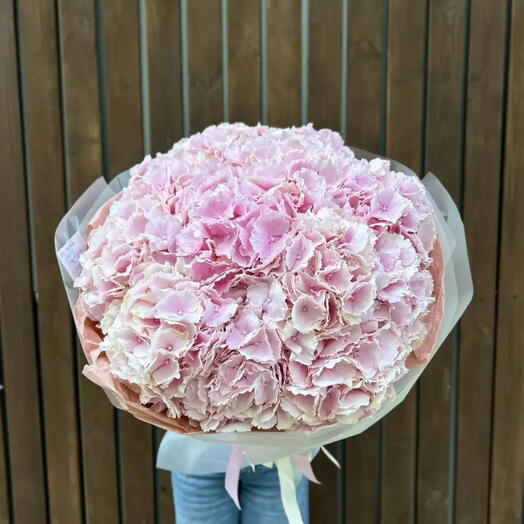 Светлые мечты