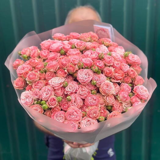 Pink spray rose