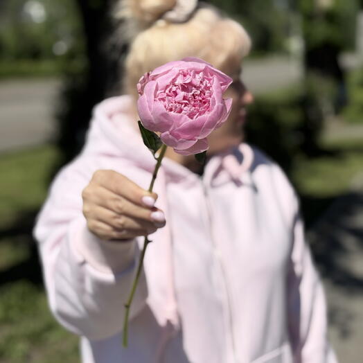 Пион