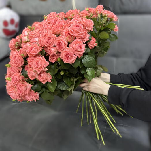 Роза кустовая Барбадос 41