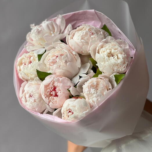 Хит лета! Букет из 9 садовых пионов🌸