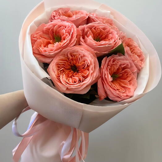 Peach Blossom