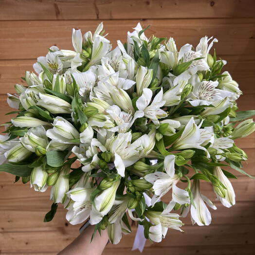 Белая альстромерия 25шт