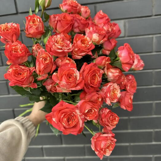 7 ярких кустовых роз монобукет