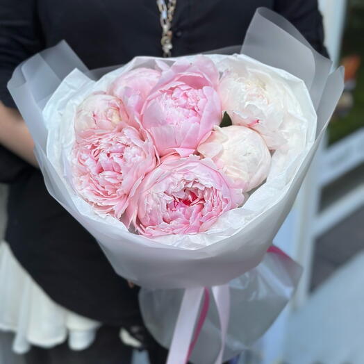 Букет пионов Сара 7 шт🌸