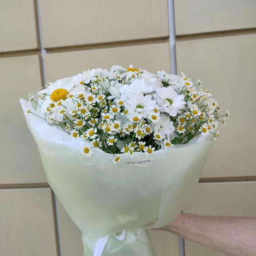 Ромашковая любовь