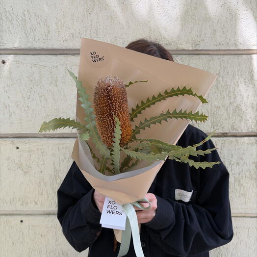 Банксия в упаковке от XOFLOWERS