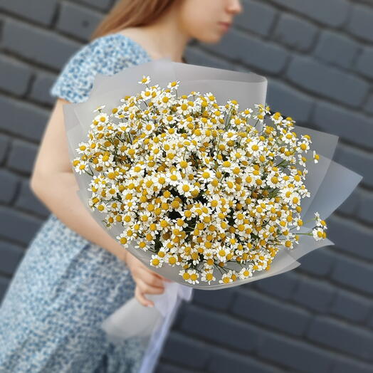 Букет из ромашек полевых