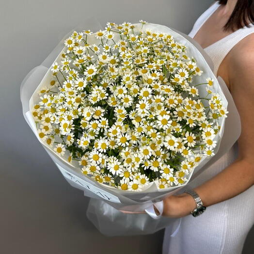 Букет Ромашек