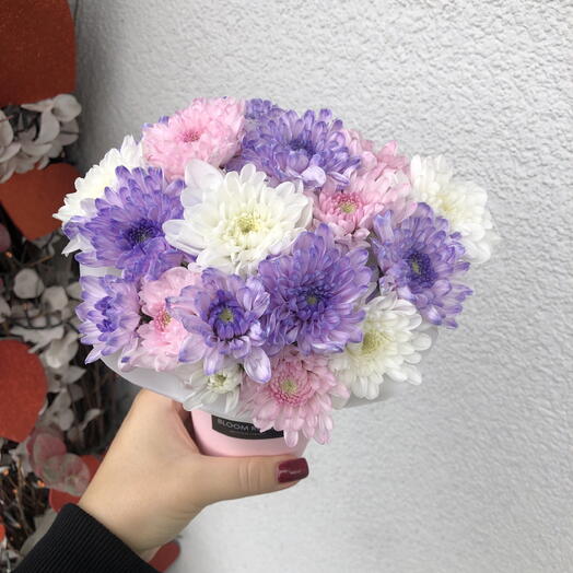 Разноцветный стаканчик-комплимент Bloom room, хризантема 💐