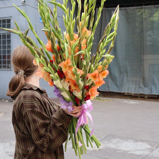 Микс 29 гладиолусов