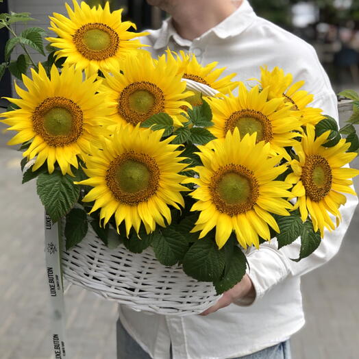 🌻🌻🌻Корзина с подсолнухами и ветками малины