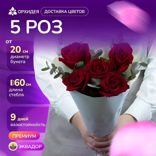 5 Роз "Эксплорер" с зеленью