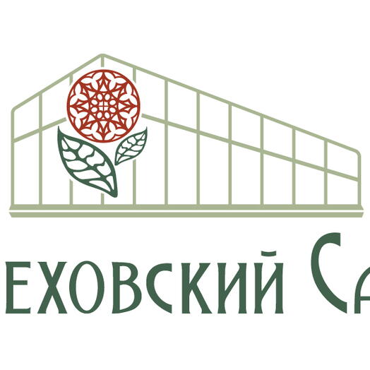 СКИДКА пачка одноголовых роз