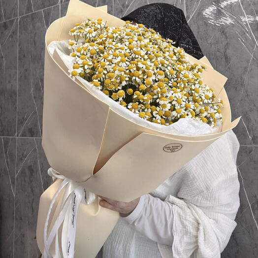 Моно букет из танацетума