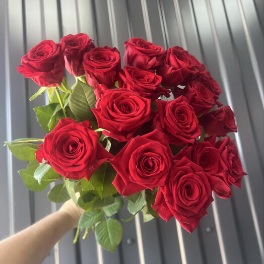 Роза красная 🌹