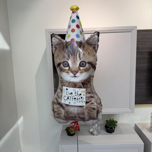 Фигура Котик в Колпаке