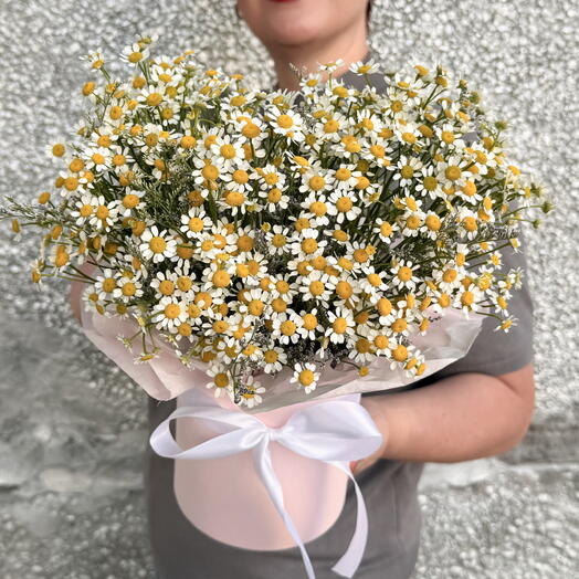 Коробочка с ромашками (танацетум)