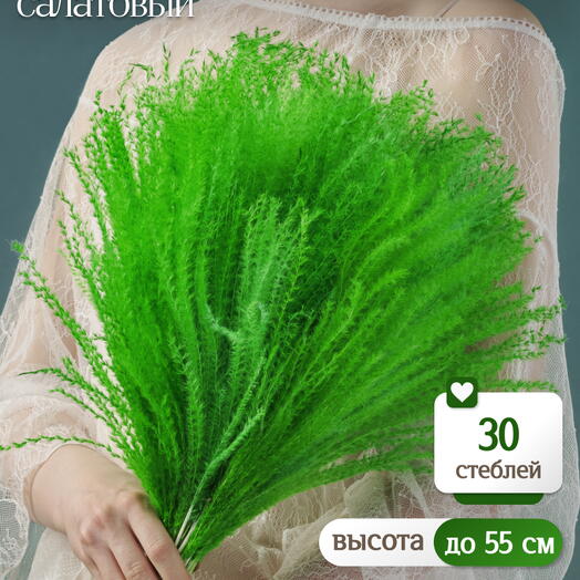 Мискантус салатовый 30 шт. Высший сорт М276