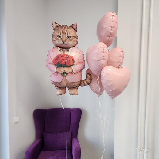 Шары девушке с котом, кот с цветами