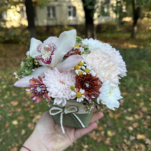 Мини композиция