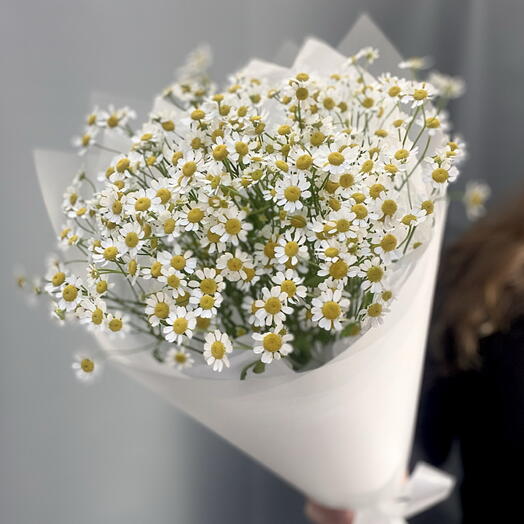 Монобукет из матрикарии