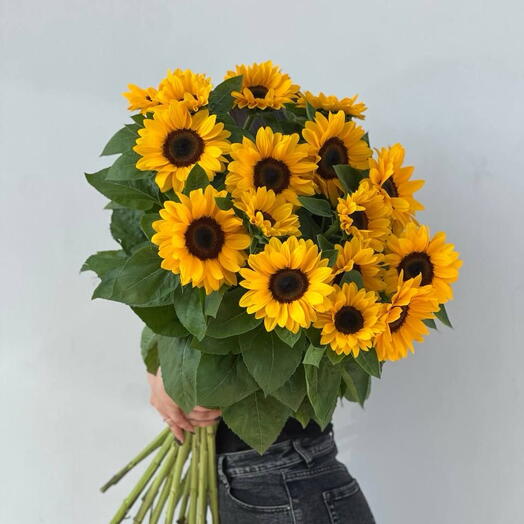 Подсолнухи 🌻