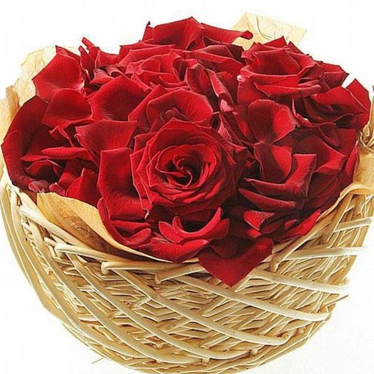 Rose petals