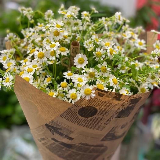 Bouquet of daisies