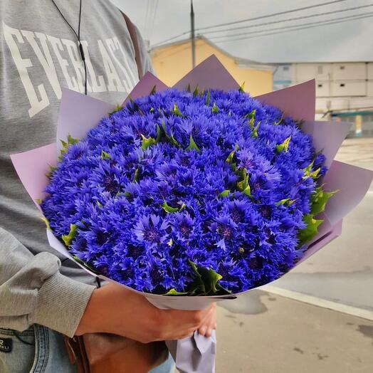 Delicate cornflowers