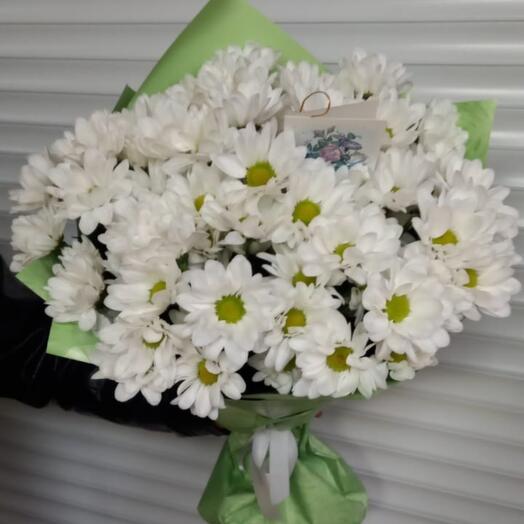 9 white chamomile chrysanthemums