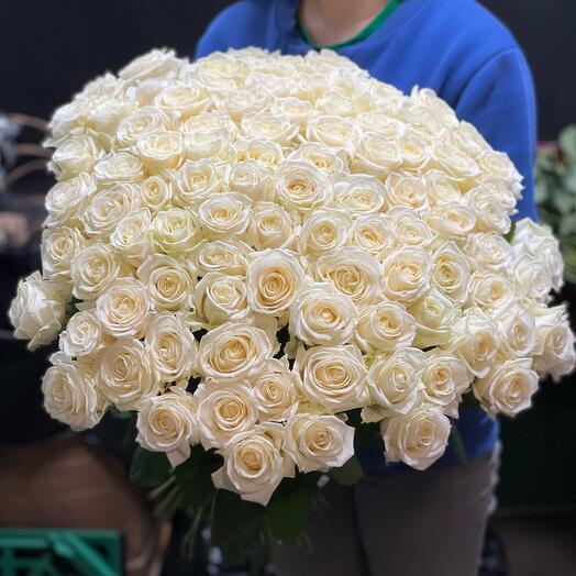 101 white roses