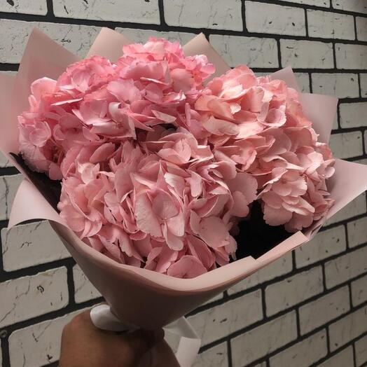 Pink cloud of hydrangeas
