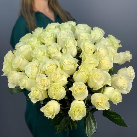 "49 rosas blancas" 775