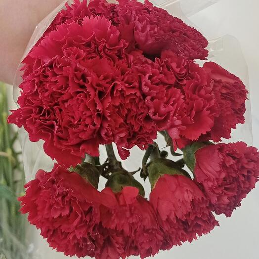 Clavel 10 piezas