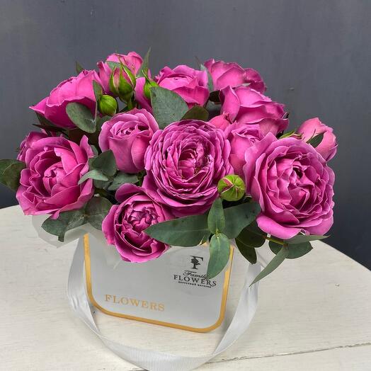 Peony bush rose in a box