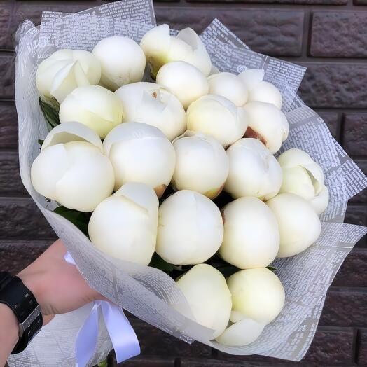 21 white peony "Duchess"