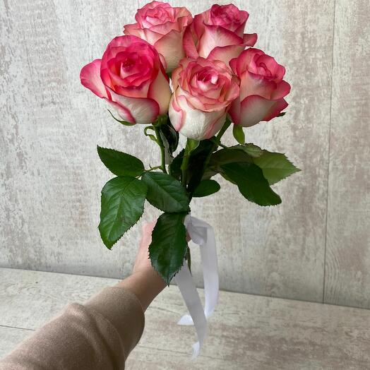 Rosa Jumilia