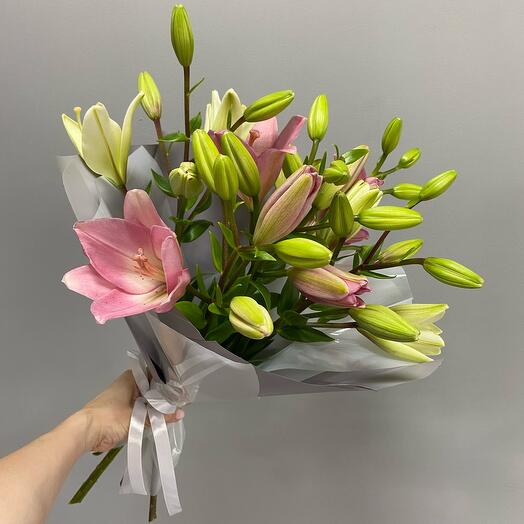 Gentle Lily