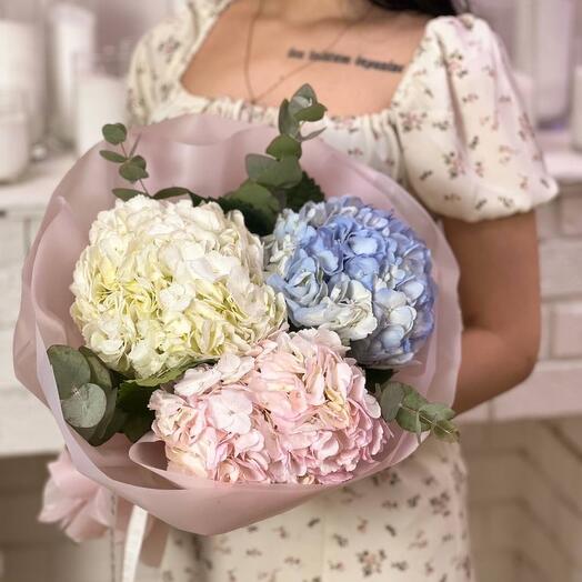 Ramo de Hortensias con eucalipto