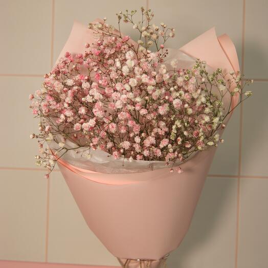 Bouquet of pink gypsophila