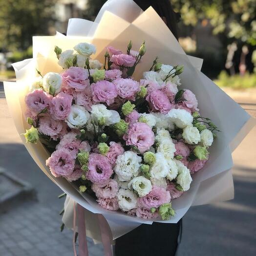 Pink and White Eustoma